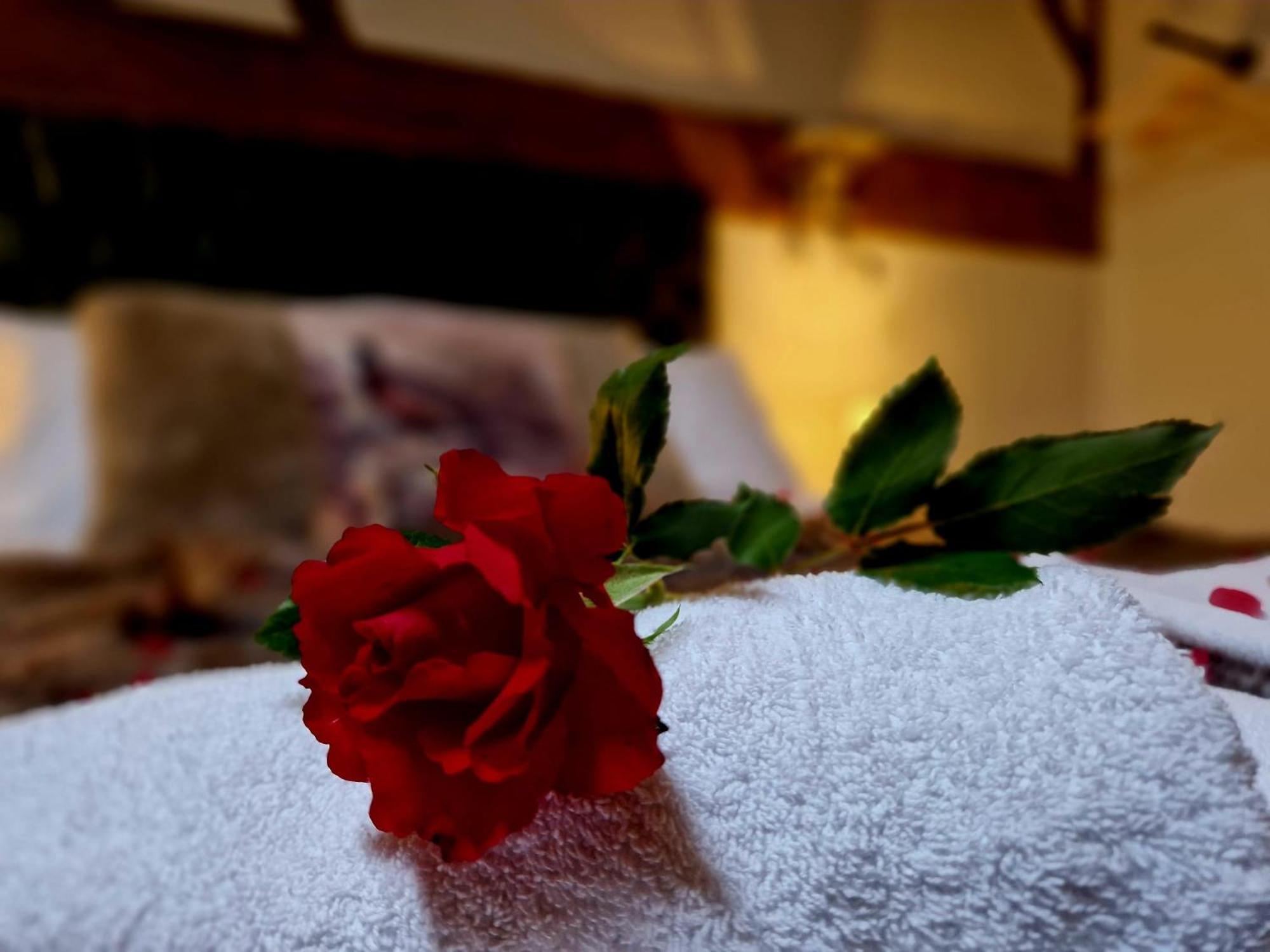 The Hamilton - The Studio Luxury Holiday Let'S Scorton  Eksteriør billede
